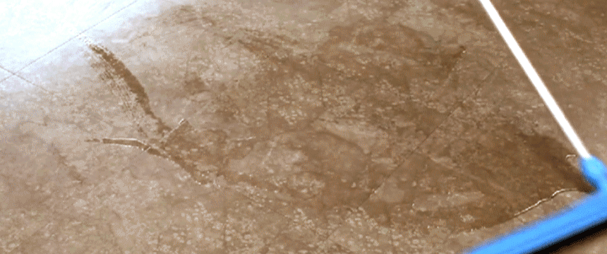 70079f61e96a431f2f6fdfa2734f4553_1588506462_3814.gif